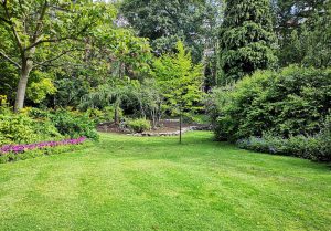Optimiser l'expérience du jardin à Noyelles-en-Chaussee